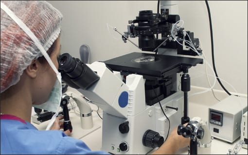 Lab Analysis
